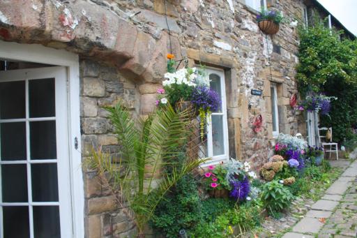 The Pinfold - Housity