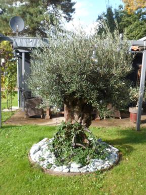 l'atelier des reves - Housity