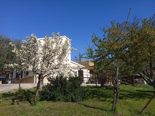 Sotto l'Ulivo - Housity