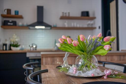 Dream Apartment Vršac - Housity