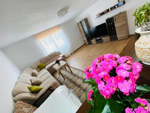 Andrei's house - Housity