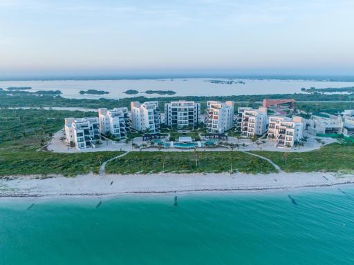 Playa, Selva, Cenotes, Ruinas, Marina todo a 5 km - Housity