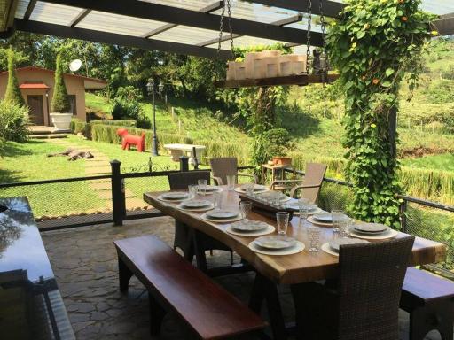 Finca la Martina - Rent all the property with both houses in San Ramon - Housity