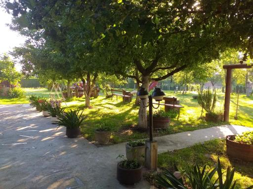 Cozy bungalow in Brinjani with garden view 30 m² - Housity
