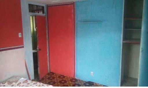 Zebu Trancients - Housity