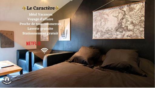 Le Caractère - centre ville- WIFI- parking - Housity