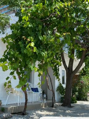 CASA DE BAGALE Village House - Housity