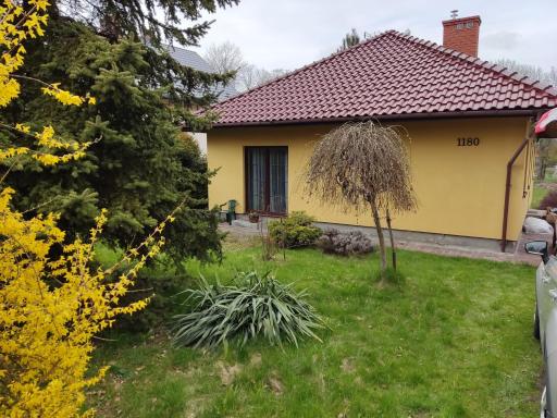 Zielone Buki - Housity