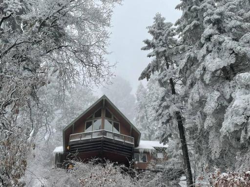 Sweet getaway in private Giant Sequoia Grove! - Housity