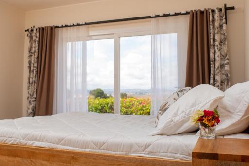 Somptua Garden - Housity
