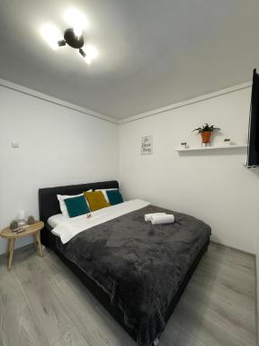 Cozy Studio Apartament Zalau - Housity