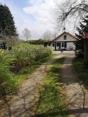 Keramikhuset 2 komma 0, smuk natur og hjemlig hygge - Housity