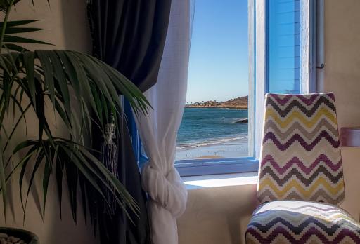 TEDDY PIRATE - Coliving - Housity