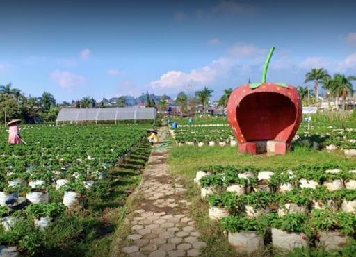 Villa Musti Green Apple Cipanas - Housity