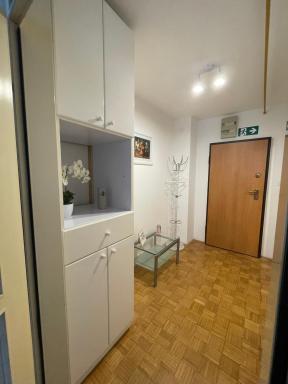 Apartment Green - Grey - Housity