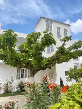 Villa Denis Ksamil - Housity