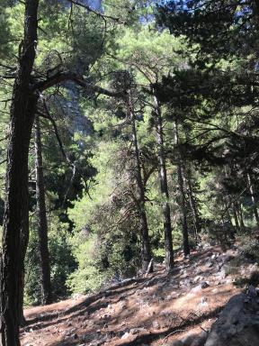 Villa Samaria - Housity