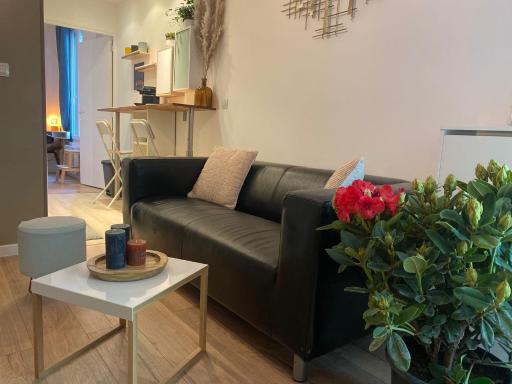 Magnifique appartement T2 aux portes de Paris - Housity
