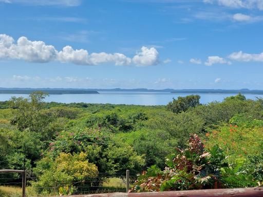 The Lake House - Housity