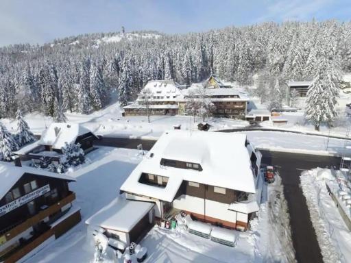 Ferienwohnung auf 1233m am Feldberg nur 20m zur Skilift/-piste, Wanderwegen und Bus - Housity