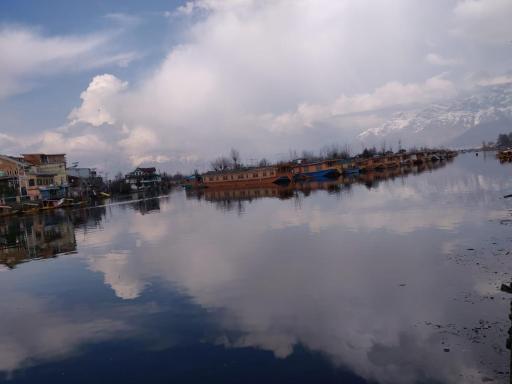 Island - Housity
