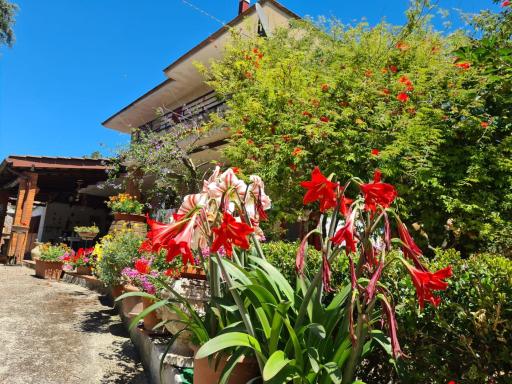 LA LIMONARA B&B - Housity