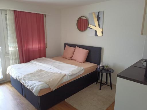 gemütliches Studio in Amriswil - Housity