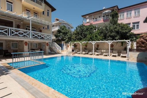 Safari Suit Hotel - Housity
