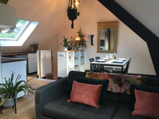 Sur les hauteurs de Locronan - Housity