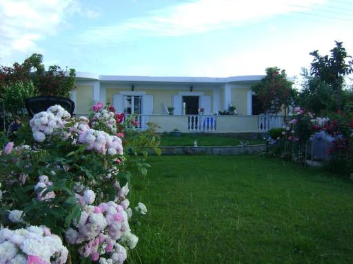 Zante Summer Retreats - Marietta's Apartment2 Drosia - Housity