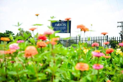 Hibon Lodge - Housity