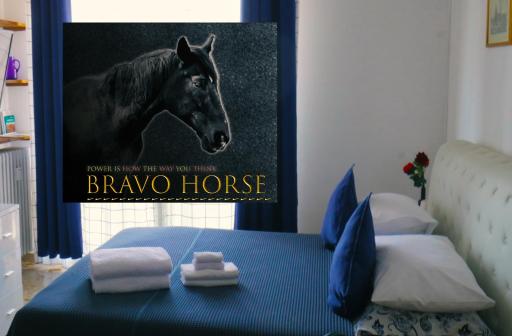 BRAVO HORSE - Housity