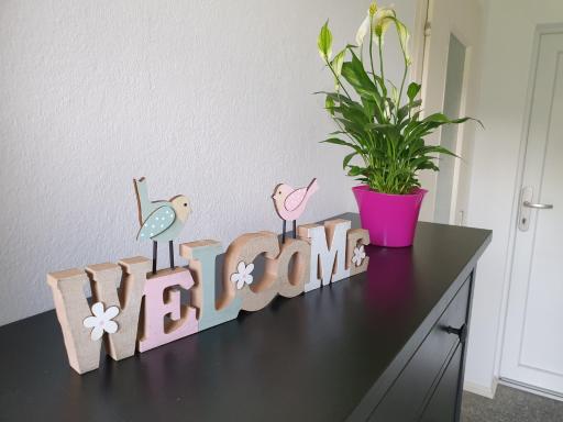 Ferienwohnung am Kiesberg - Housity