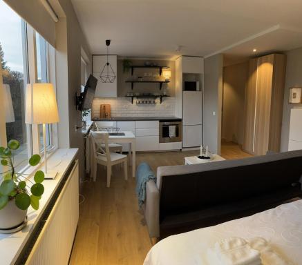 Studio apartment in Hafnarfjordur - Housity