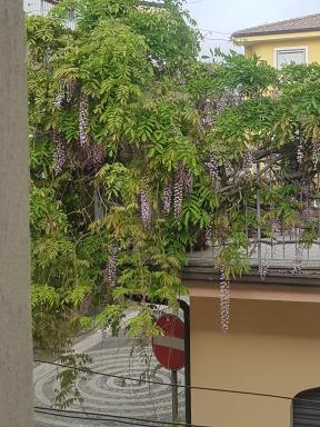 Una finestra sul glicine - Housity