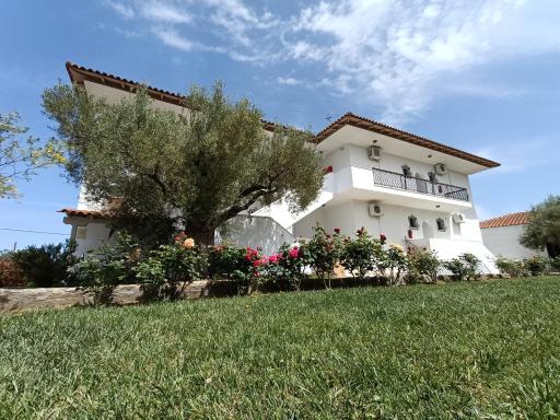 Marios Garden House - Housity