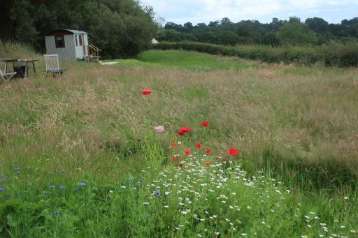 Little Idyll shepherds hut - Housity
