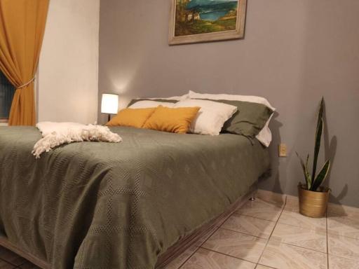 Departamento familiar santa Ana - Housity