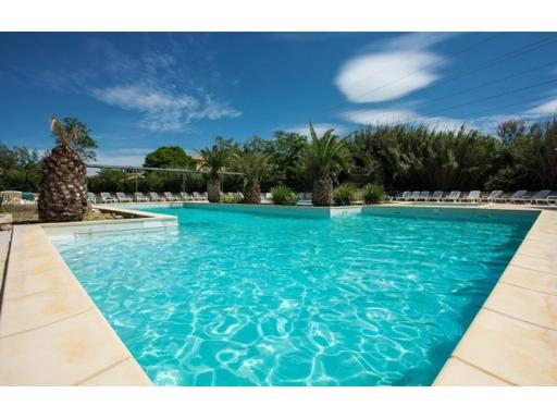 Joli Mazet Provençal de Camargue - Housity