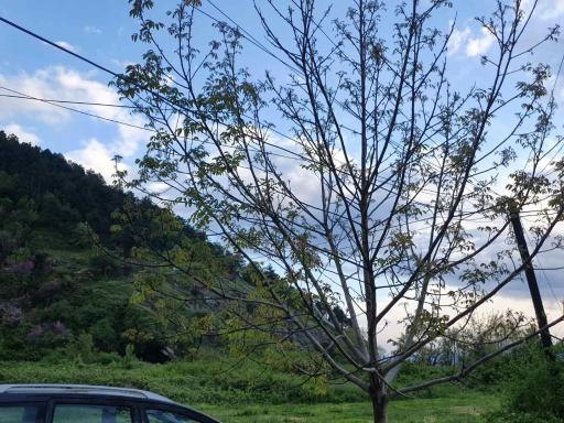 Apartman Lili - Housity