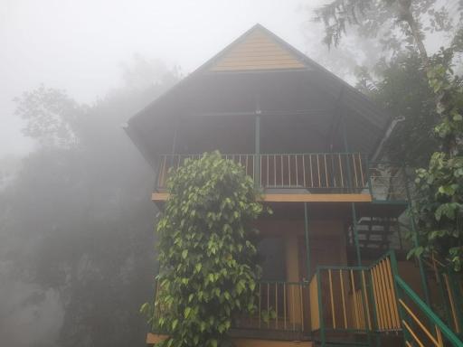 Mistvalley Hut - Housity