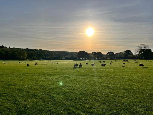 Allspheres Farm Holidays Studio Apartment in the Heart of a Working Farm - Housity