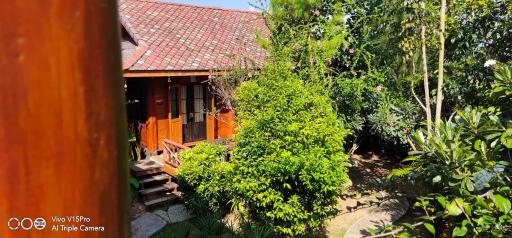 Hello countryside - Housity