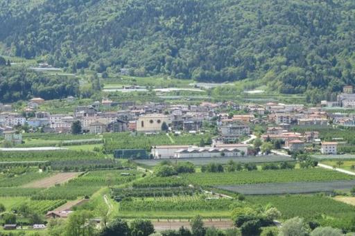 la farfalla di Susà - Housity