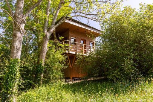 Cabane perchee - Housity