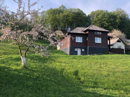 Cabana HATERE - Housity