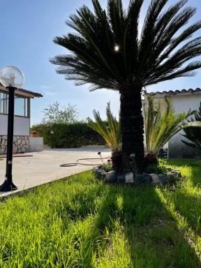 Villa Daniele - Housity