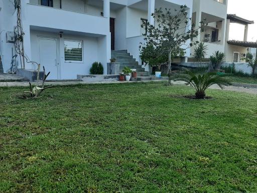 Art house - Housity