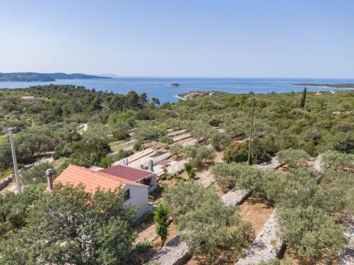 Holiday House Roza - Housity