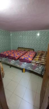 Bagwari House - Housity